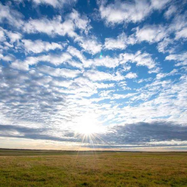 How the Nature Conservancy is preserving Saskatchew’s prairies