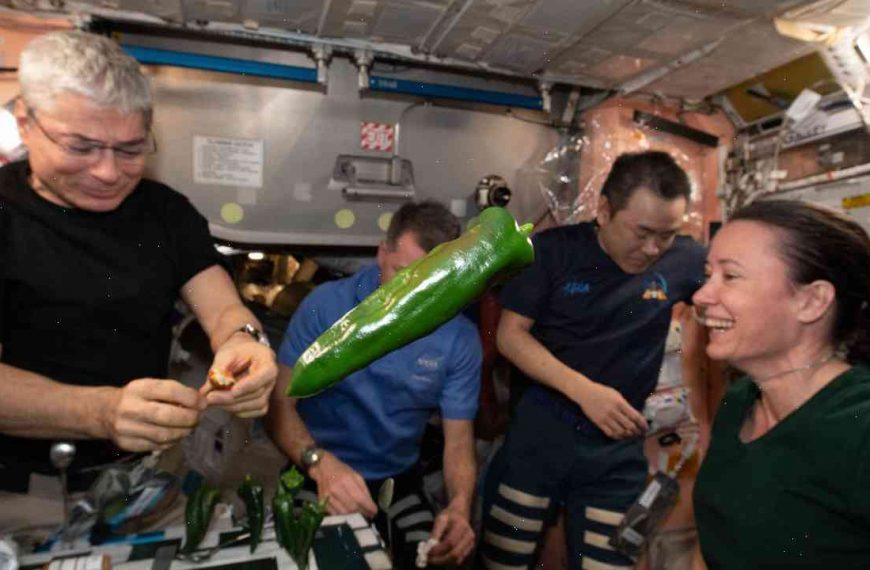 Starve and pickle: astronaut pizza connoisseurs celebrate space station’s anniversary