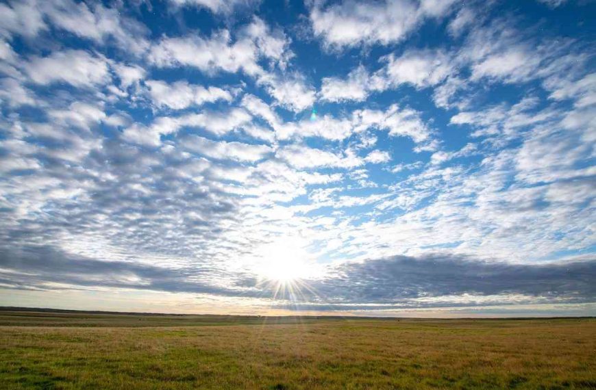 How the Nature Conservancy is preserving Saskatchew’s prairies