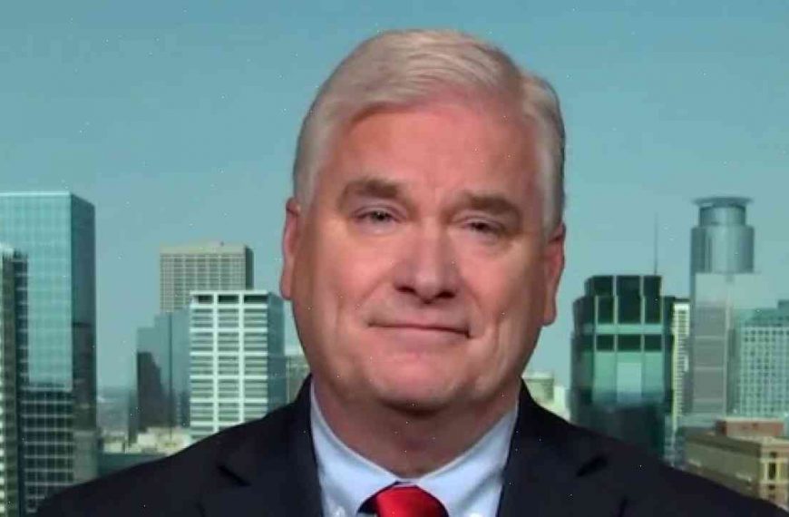 Rep. Tom Emmer: The Worst Selling Issues For Democrats Is You Talk About Gun Control